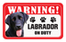 Labrador (Black)