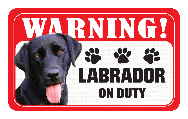 Labrador (Black)