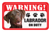 Labrador (Brown)