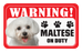 Maltipoo