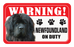 Newfoundland