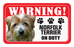 Norfolk Terrier