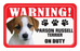 Parson Russell Terrier