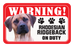 Rhodesian Ridgeback
