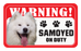 Samoyed