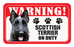 Scottish Terrier