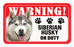 Siberian Husky