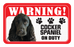 Cocker Spaniel