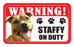 Staffy