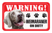 Weimaraner
