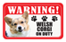 Welsh Corgi (Pembroke)
