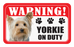 Yorkie