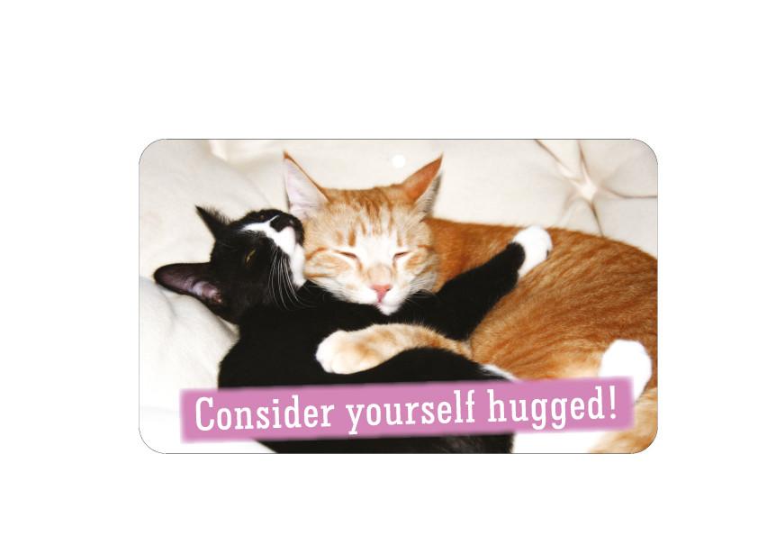 FN033 Fun Sign - Consider Yourself Hugged!