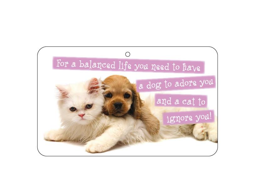 FN037 Fun Sign - Dog To Adore You&#044; Cat To Ignore You