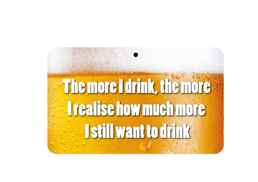 FN045 Fun Sign - The More I Drink