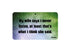 FN055 Fun Sign - My Wife Says I Never Listen 