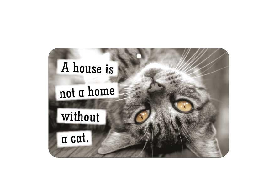 FN056 Fun Sign - A House Is Not A Home Without A Cat