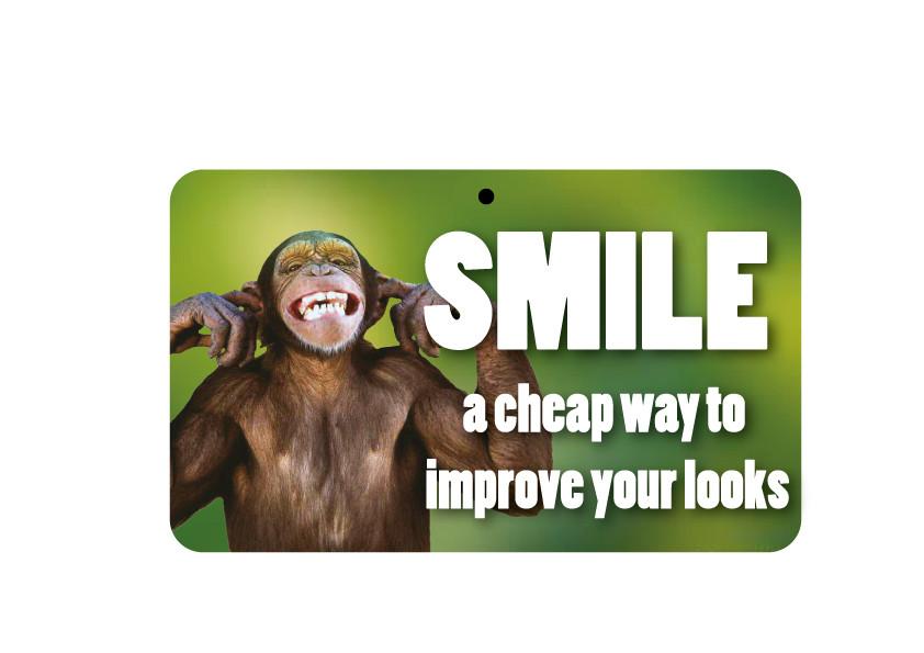 FN112 Fun Sign - Smile And Improve Your Looks