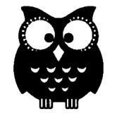 Wooden Block - Owl