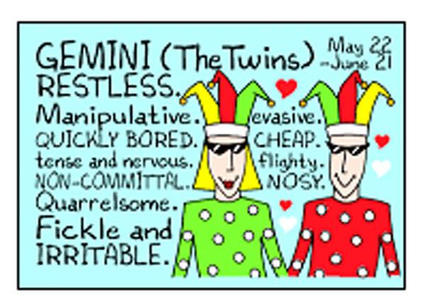 Gemini Magnet