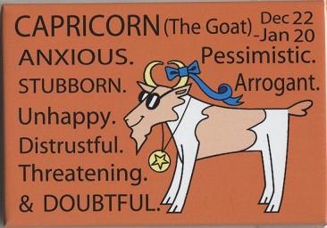 Capricorn Magnet