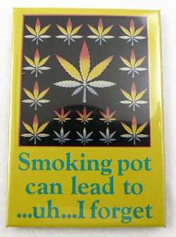 Smoking Pot Can Lead To Magnet