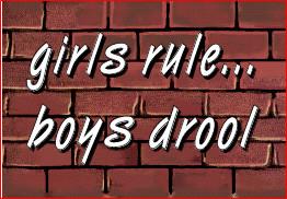 Girls Rule...Boys Drool Magnet