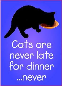 Cats Are Never Late Magnet