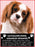King Charles Spaniel Magnet