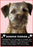 Border Terrier Magnet