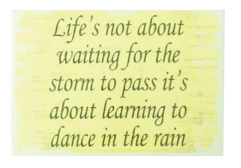 Lfw Magnet - Cream - Dance In The Rain