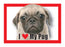 Pug Magnet