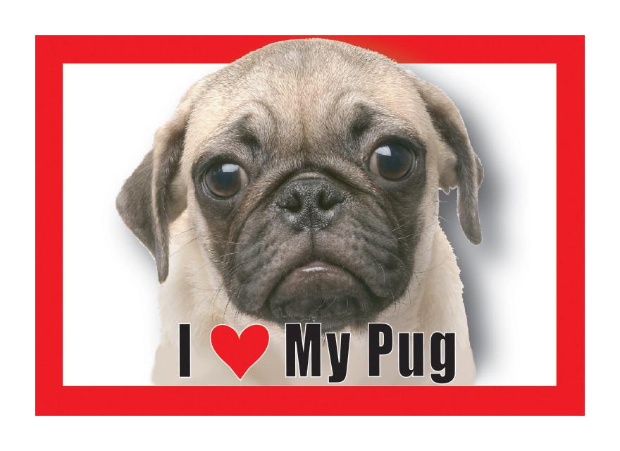 Pug Magnet