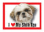 Shih Tzu Magnet