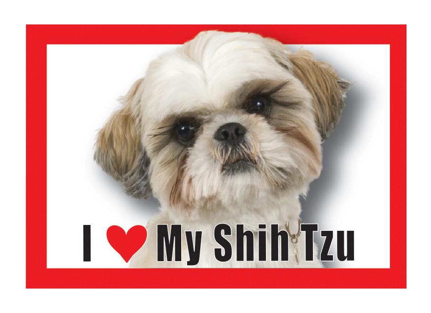 Shih Tzu Magnet