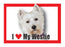 Westie Magnet