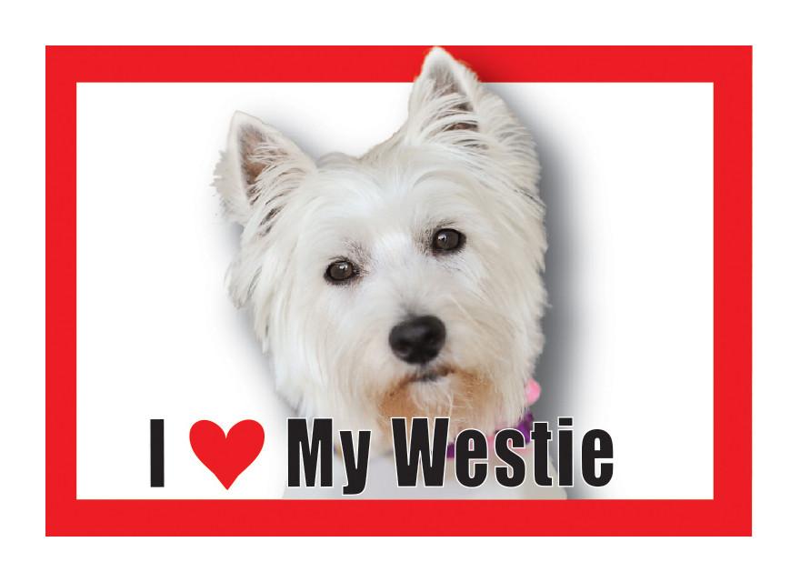 Westie Magnet