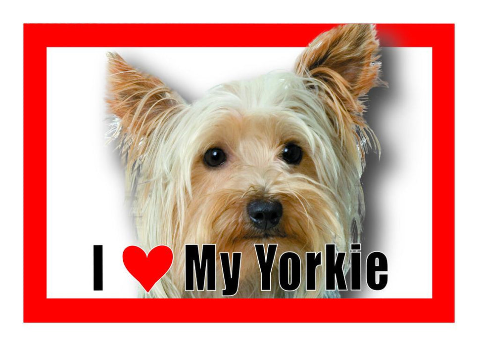 Yorkie Magnet