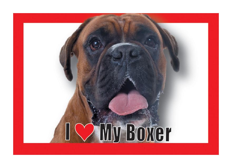 Boxer Magnet