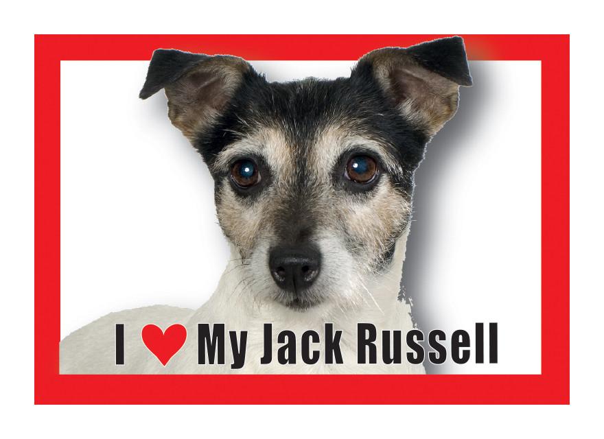 Jack Russell Magnet