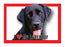 Labrador (Black) Magnet