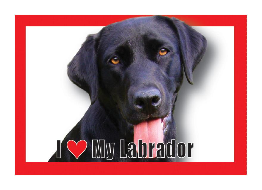 Labrador (Black) Magnet