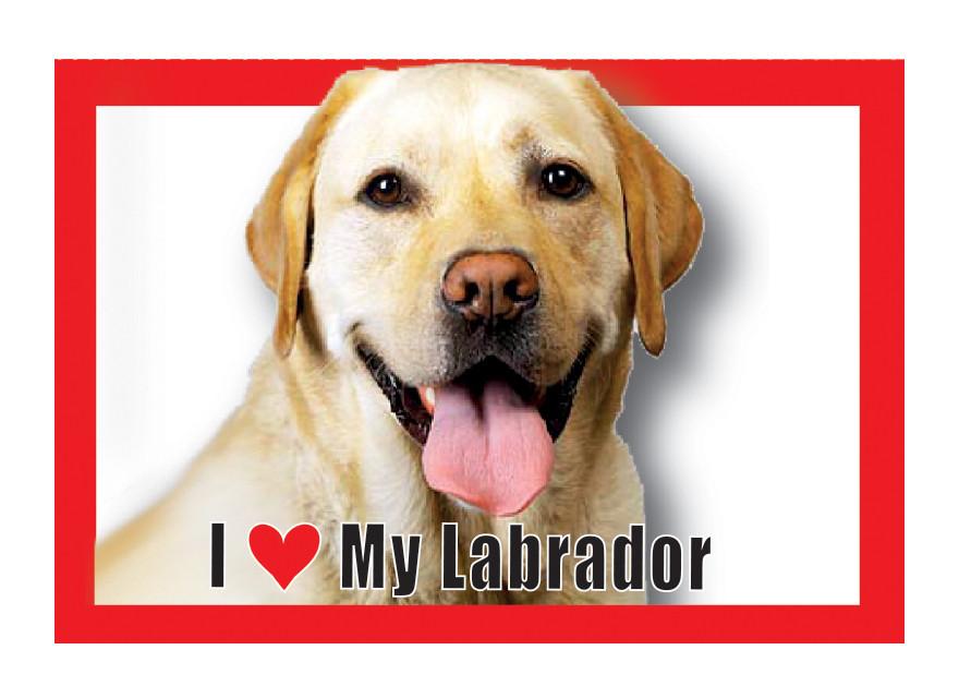 Labrador (Yellow) Magnet