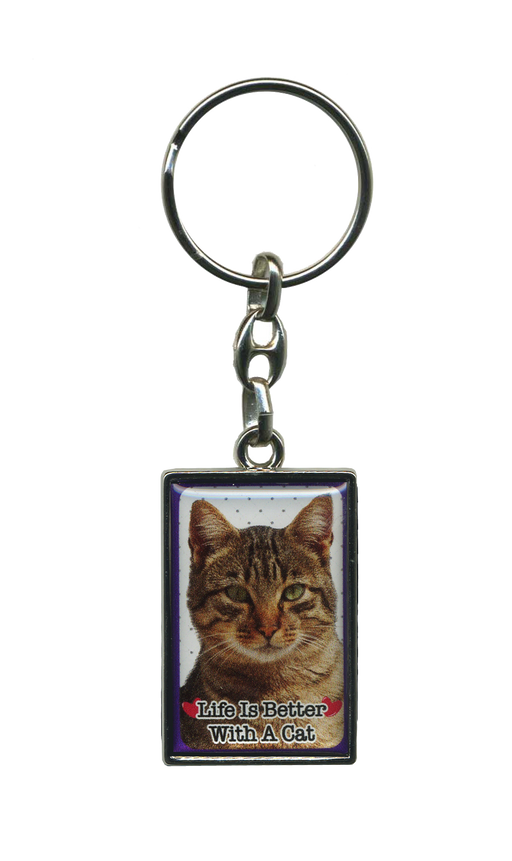 PEK082 Pet Cat Keyring - Tabby Cat