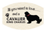 Pet Parade Dog & Cat Face Masks - 36 designs