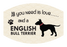 Pet Parade Dog & Cat Face Masks - 36 designs