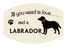 Pet Parade Dog & Cat Face Masks - 36 designs