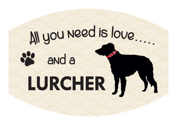 Pet Parade Dog & Cat Face Masks - 36 designs