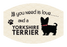 Pet Parade Dog & Cat Face Masks - 36 designs