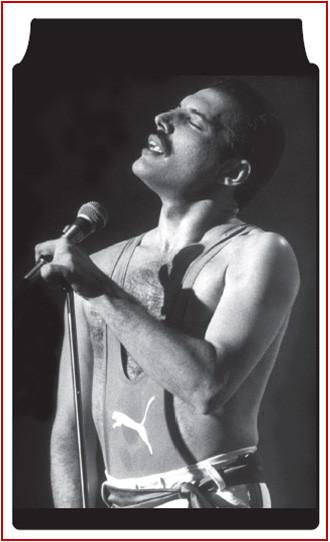 Freddie Mercury Phone Sox